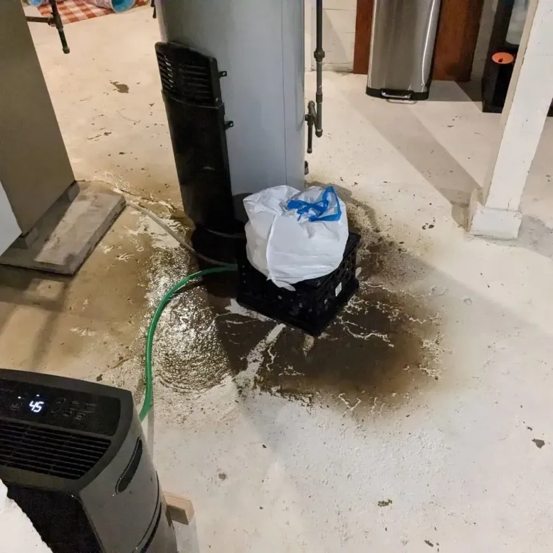 Sewage Backup Cleanup Service in Buena Park, CA